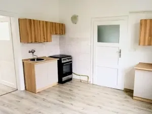 Pronájem bytu 1+1, České Budějovice, E. Beneše, 45 m2