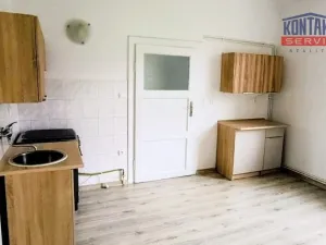 Pronájem bytu 1+1, České Budějovice, E. Beneše, 45 m2