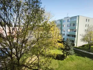 Pronájem bytu 2+1, Náměšť nad Oslavou, 55 m2