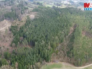 Prodej lesa, Mrákotín, 7873 m2
