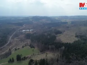 Prodej lesa, Mrákotín, 7873 m2