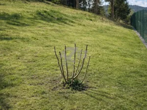 Prodej zahrady, Horní Bečva, 770 m2