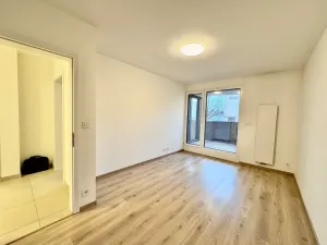 Prodej bytu 2+1, Brno, U Červeného mlýna, 57 m2