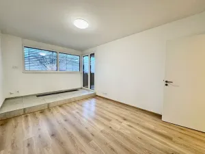 Prodej bytu 2+1, Brno, U Červeného mlýna, 57 m2