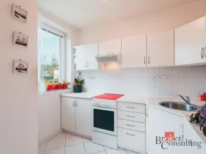 Prodej bytu 1+1, Milovice - Mladá, Kaštanová, 49 m2