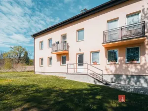 Prodej bytu 1+1, Milovice - Mladá, Kaštanová, 49 m2