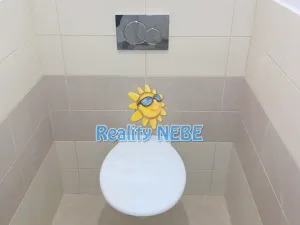 Pronájem bytu 2+1, Praha - Nusle, Na Veselí, 56 m2