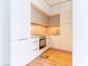 Pronájem bytu 1+1, Brno, Spolková, 38 m2