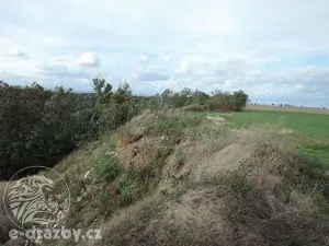 Dražba pozemku, Žatec, 264996 m2