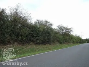 Dražba pozemku, Třebichovice, 6533 m2
