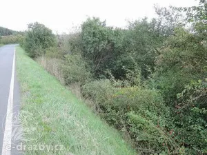 Dražba pozemku, Třebichovice, 6533 m2