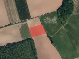 Prodej pole, Bezuchov, 11210 m2