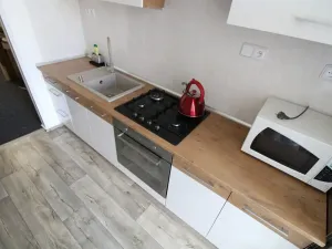 Pronájem bytu 2+1, Praha - Vinohrady, náměstí Jiřího z Lobkovic, 61 m2