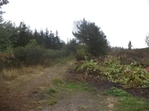 Dražba louky, Peč, 7060 m2