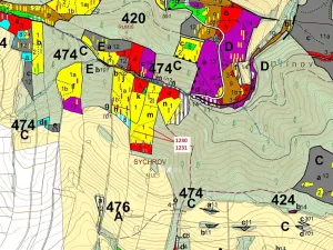 Dražba lesa, Horní Studénky, 7904 m2