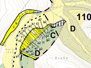 Dražba lesa, Chotěbudice, 782 m2