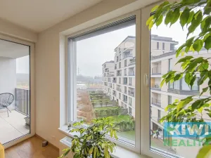 Pronájem bytu 2+kk, Ostrava, Důlní, 58 m2