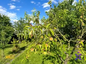 Prodej chaty, Zlín - Malenovice, 18 m2