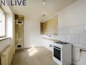 Prodej bytu 2+1, Plzeň, Mánesova, 56 m2