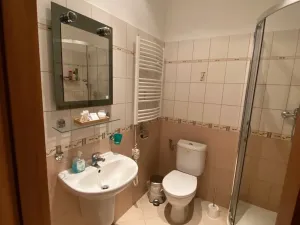 Prodej bytu 2+kk, Karlovy Vary, Zámecký vrch, 59 m2