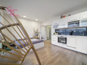 Pronájem bytu 1+kk, Brno - Královo Pole, Kollárova, 39 m2