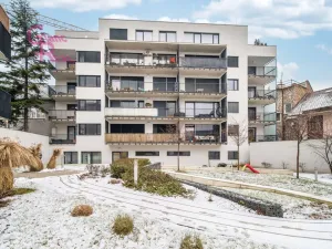 Pronájem bytu 1+kk, Brno - Královo Pole, Kollárova, 39 m2