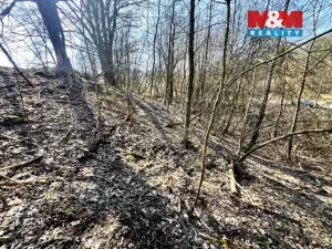 Prodej pozemku pro bydlení, Heřmanov - Fojtovice, 835 m2