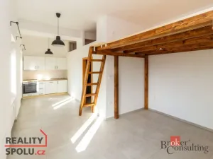 Pronájem bytu 1+kk, Světnov, 31 m2