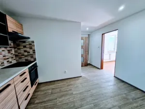 Pronájem bytu 1+1, Ústí nad Labem - Ústí nad Labem-centrum, Koněvova, 52 m2