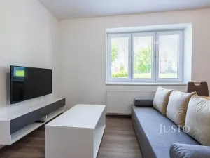 Pronájem bytu 2+kk, Staré Město, Mahenova, 45 m2