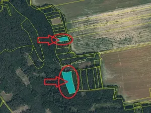 Prodej podílu lesa, Puclice, 12856 m2