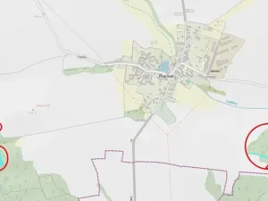 Prodej podílu lesa, Puclice, 12856 m2