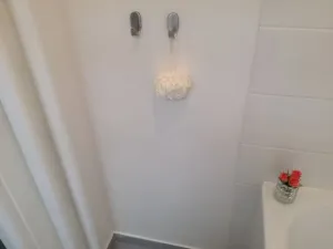 Pronájem bytu 2+1, Ostrava - Hrabůvka, Dr. Martínka, 50 m2