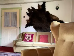 Prodej chalupy, Police nad Metují, 249 m2