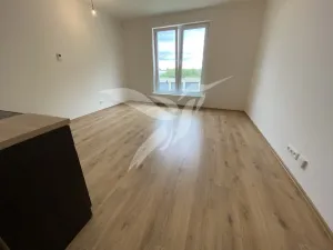 Pronájem bytu 1+kk, Plzeň, Stehlíkova, 30 m2