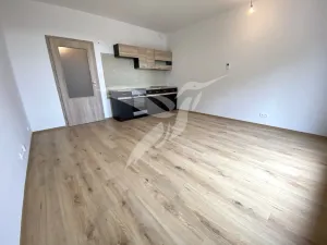 Pronájem bytu 1+kk, Plzeň, Stehlíkova, 30 m2