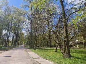 Prodej bytu 1+1, Ostrava - Zábřeh, Čujkovova, 27 m2