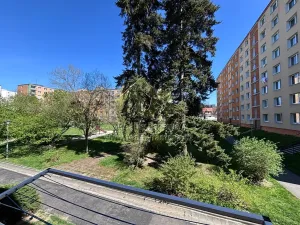 Pronájem bytu 2+1, Plzeň, Masarykova, 51 m2