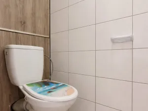 Pronájem bytu 4+1, Chomutov, Borová, 76 m2