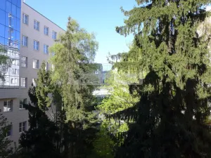 Prodej bytu 2+kk, Plzeň - Východní Předměstí, Guldenerova, 55 m2