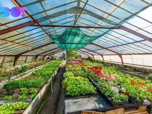 Prodej rodinného domu, Orlová, 17. listopadu, 160 m2