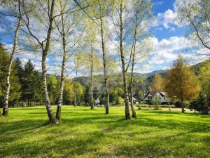 Prodej zahrady, Horní Bečva, 4093 m2