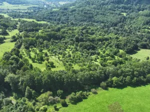 Prodej sadu/vinice, Vojkovice - Jakubov, 199287 m2