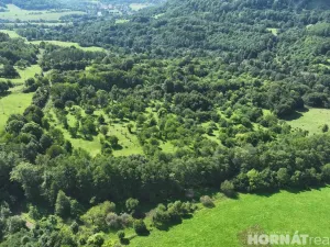Prodej louky, Vojkovice - Jakubov, 199287 m2