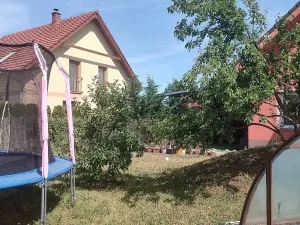 Prodej rodinného domu, Božice, 233 m2