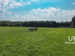 Prodej rodinného domu, Kamenná Horka, 273 m2