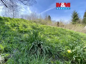 Prodej louky, Bartošovice v Orlických horách, 1153 m2