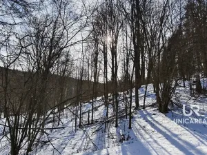 Prodej pozemku, Pohledy, 819 m2