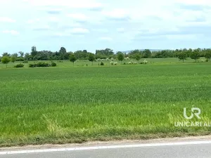 Prodej pole, Brno, 11752 m2