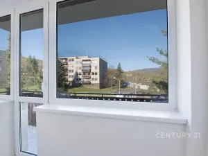 Pronájem bytu 3+1, Děčín, Slezská, 89 m2